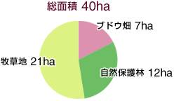 [図] 総面積