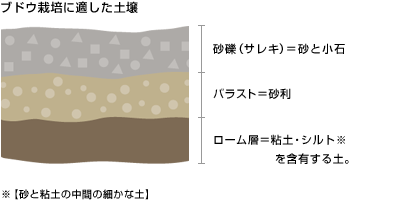 ブドウ栽培に適した土壌